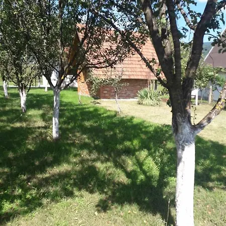 Vikendica Vila Zlaja *